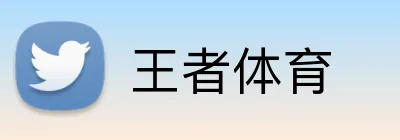 王者体育 logo